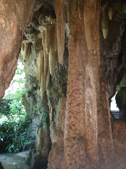A picture containing nature

Description automatically generated