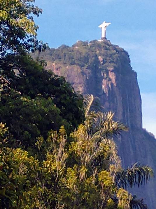 A tree with a mountain in the background

Description automatically generated