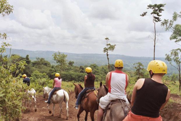 5-horses
