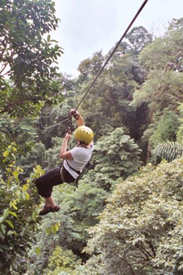 6-canopy