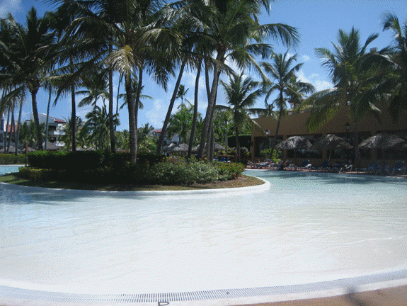 IMG_1967.gif