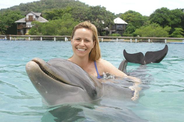 6-Dolphin-2