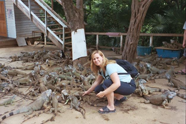 8-iguanas