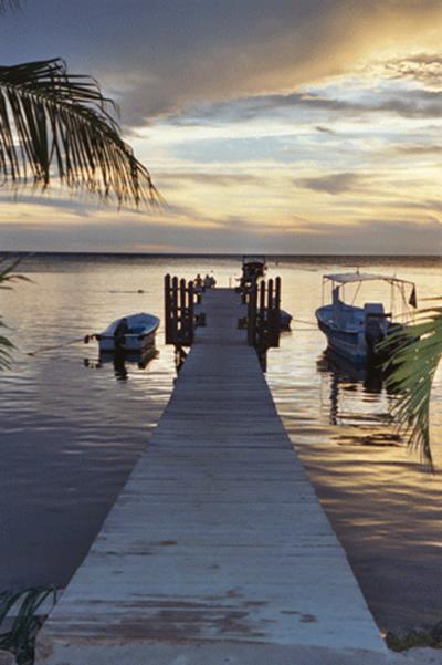 10-dock