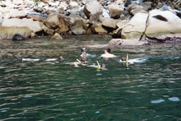 snorkel