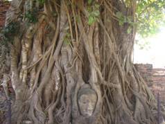 Thailand 549.JPG