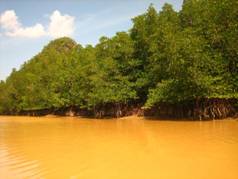 Thailand2 959.JPG