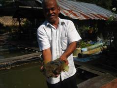 Thailand2 981.JPG