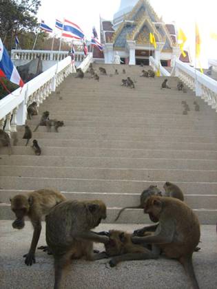 Thailand2 1071.JPG