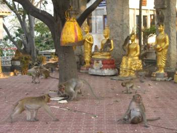 Thailand2 1046.JPG