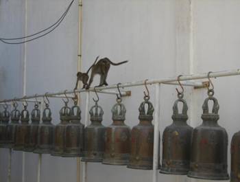 Thailand2 1082.JPG